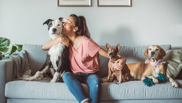 girl on the sofa with her dogs