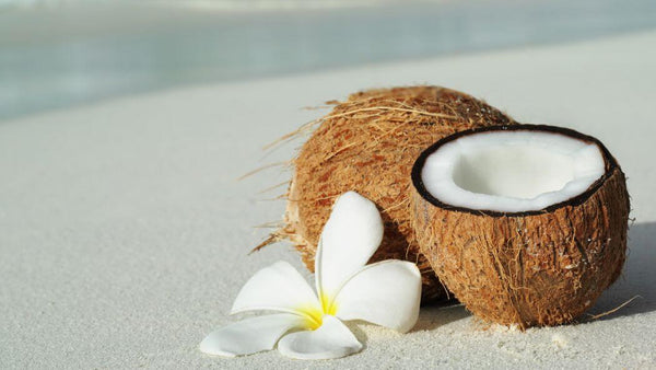 coconuts on the beach