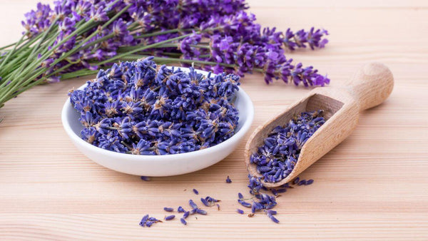 lavender on a table