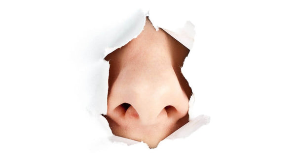 a persons nose breaking through paper