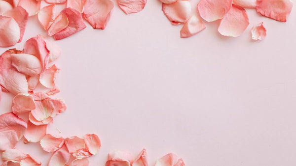 rose petals scattered on a pink background