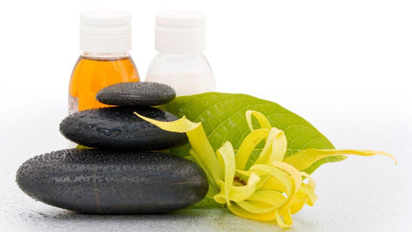 ylang ylang scent in aromatherapy shown by the flower, rocks, and oil