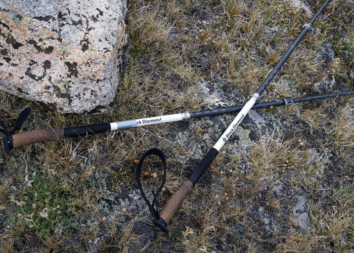 BLACK DIAMOND ALPINE CARBON CORK TREKKING POLES