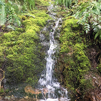 Boulder Ridge Trail