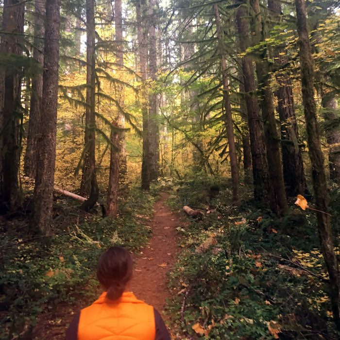 Castle Canyon Trail