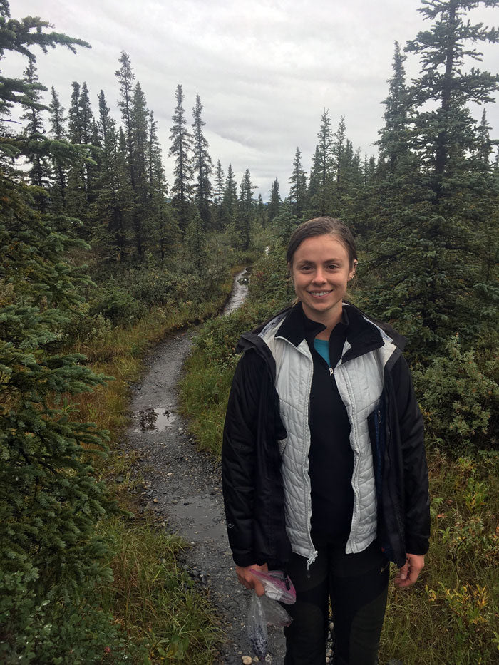 Denali National Park, Alaska