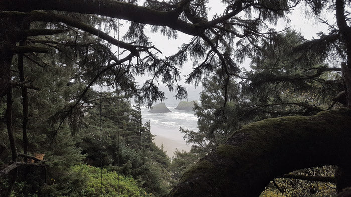 Ecola State Park