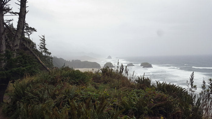 Ecola State Park