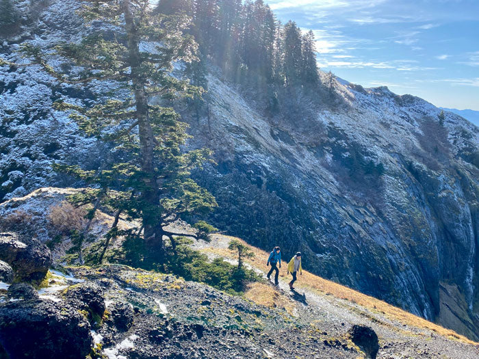 Saddle Mountain Trail