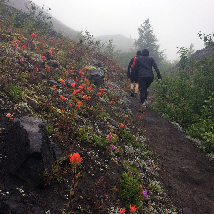 Johntson Ridge Observatory Boundary Trail