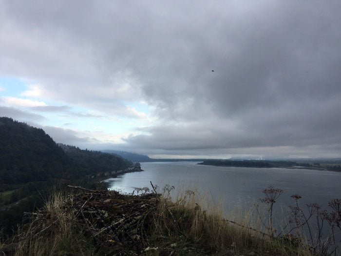 Climbing Rooster Rock