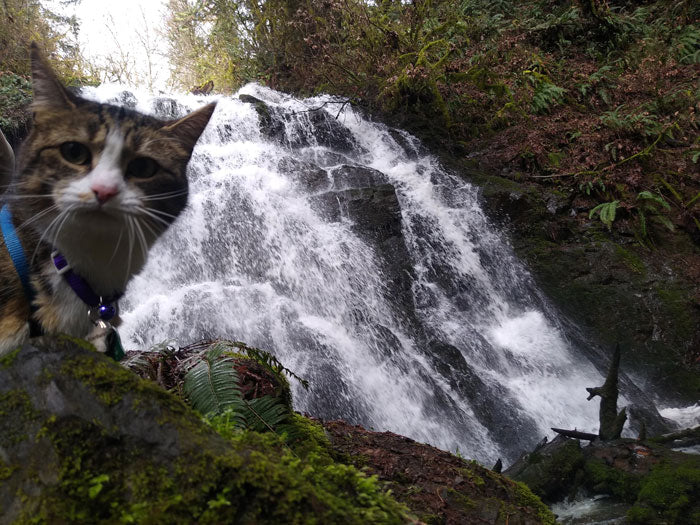 Lacamas Regional Park