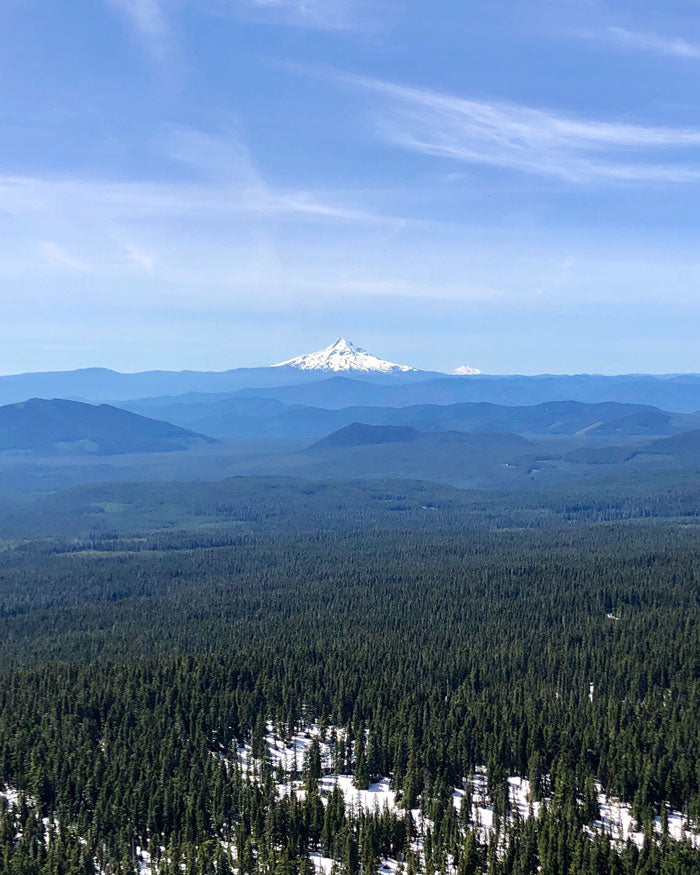 Indian Heaven Wilderness