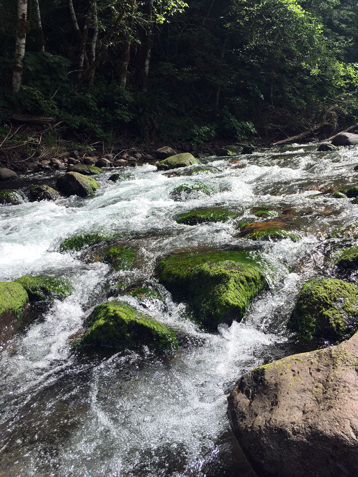 Iron Creek Campground