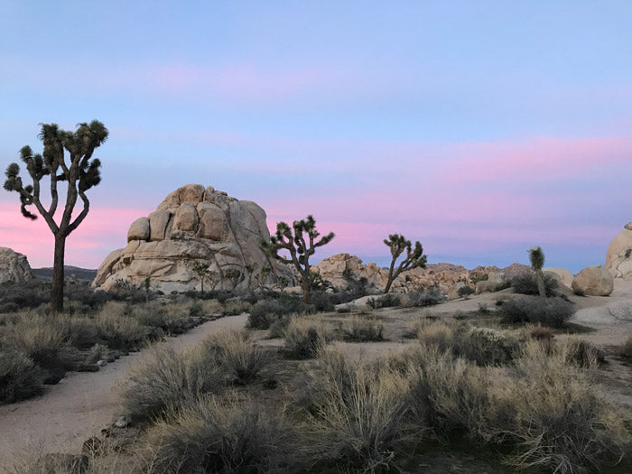 Joshua Tree National Park