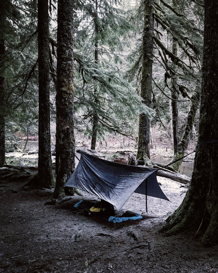 Mt Rainier National Park