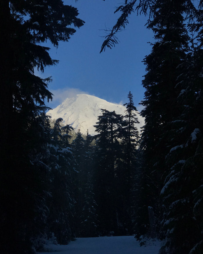 Mt Rainier National Park