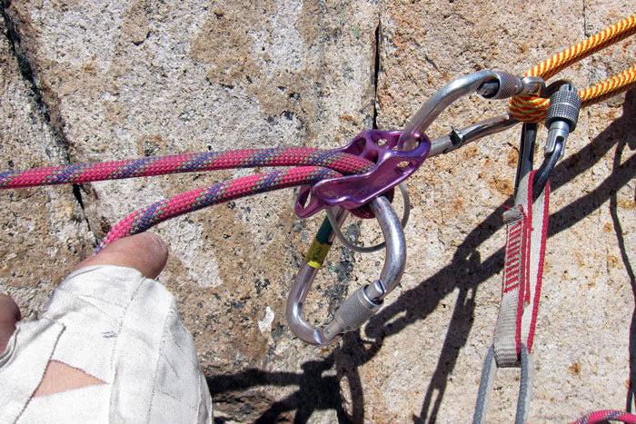 Petzl Reverso 4