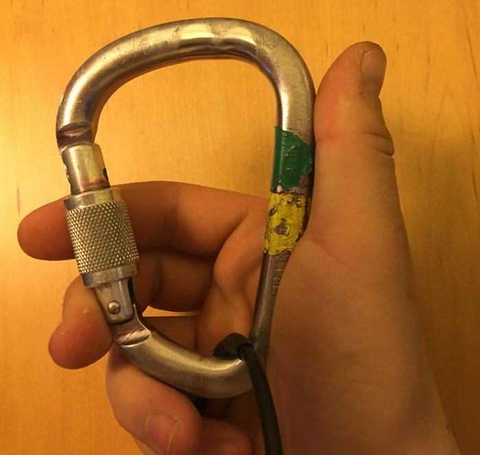 Petzl William Carabiner