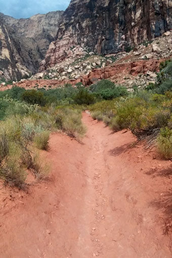 Pine Ridge Trail, Red Rock Canyon National Conservation Area (Nevada)