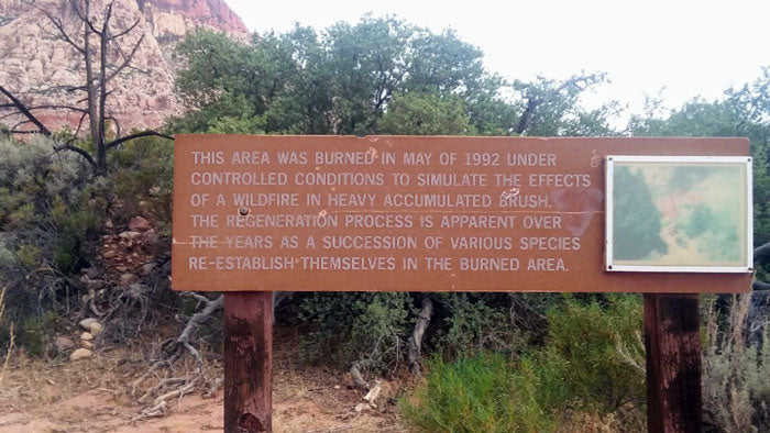 Pine Ridge Trail, Red Rock Canyon National Conservation Area (Nevada)