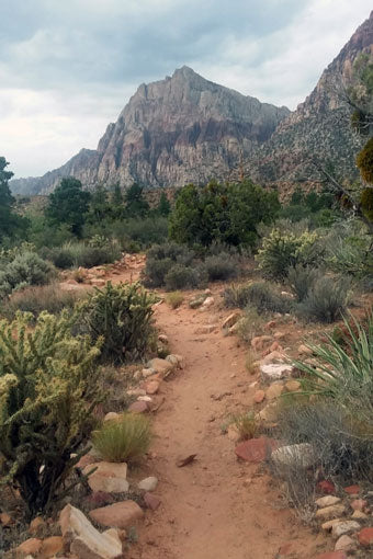 Pine Ridge Trail, Red Rock Canyon National Conservation Area (Nevada)