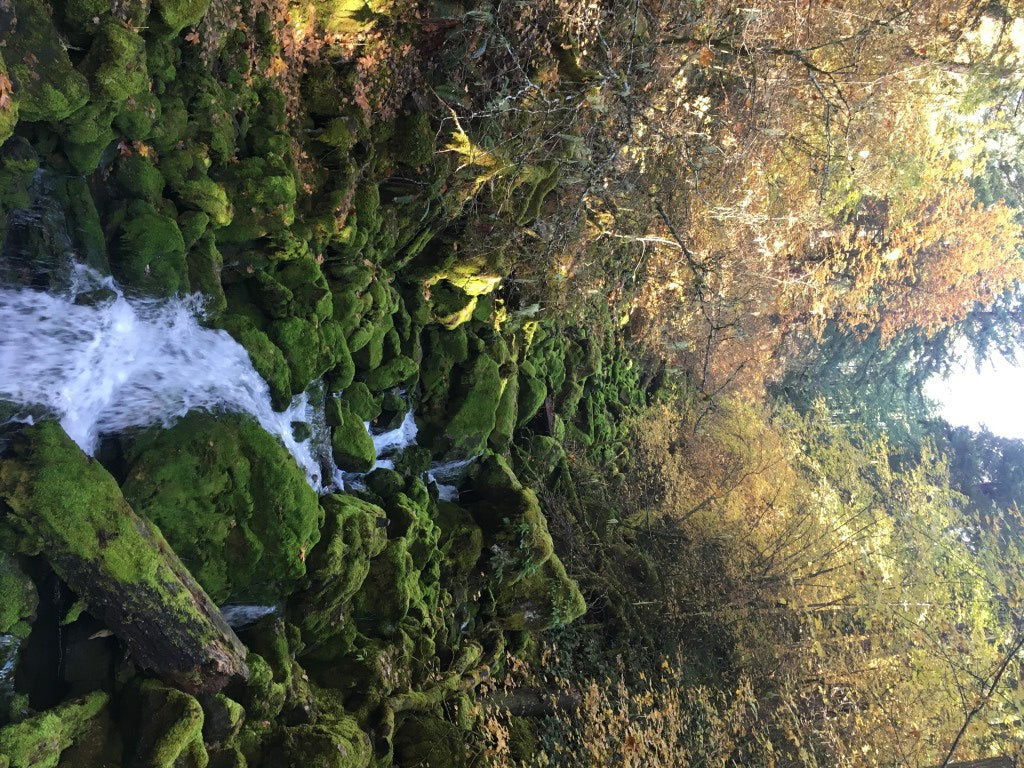 Fall Creek Falls