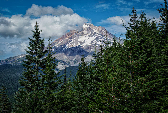 Tom Dick and Harry Mountain Trail