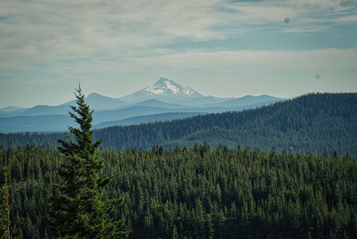 Tom Dick and Harry Mountain Trail