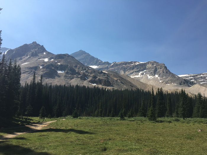 Takakkaw Falls