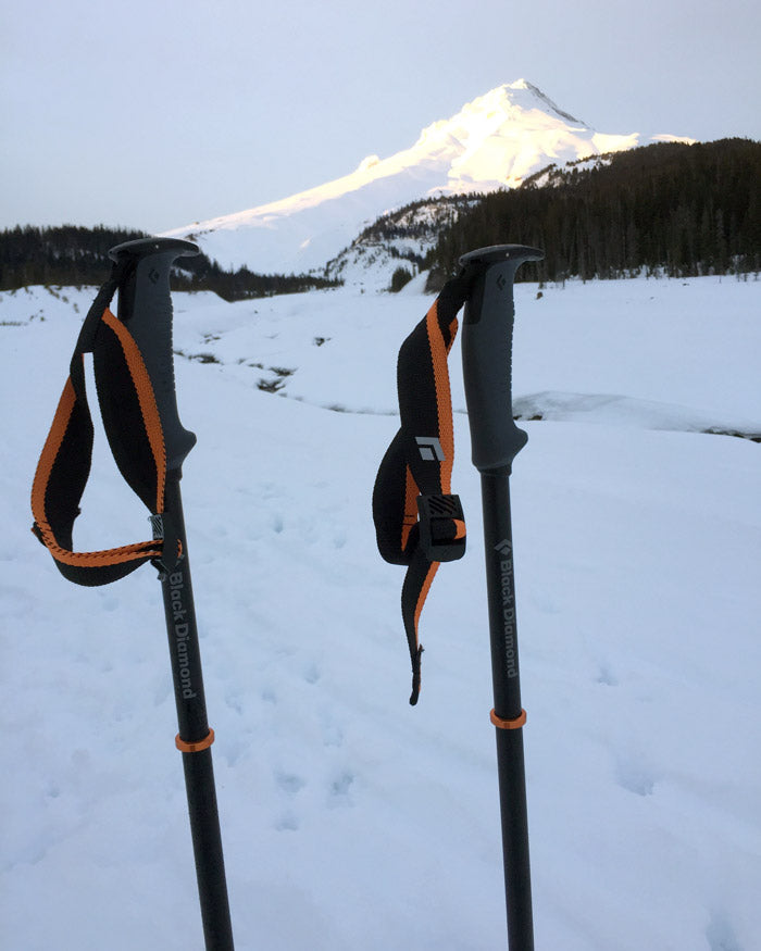 Traverse Pro Ski Poles  Black Diamond Ski Gear