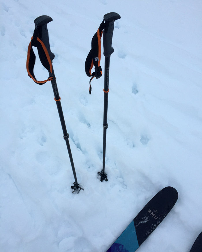 Black Diamond Traverse Ski Pole