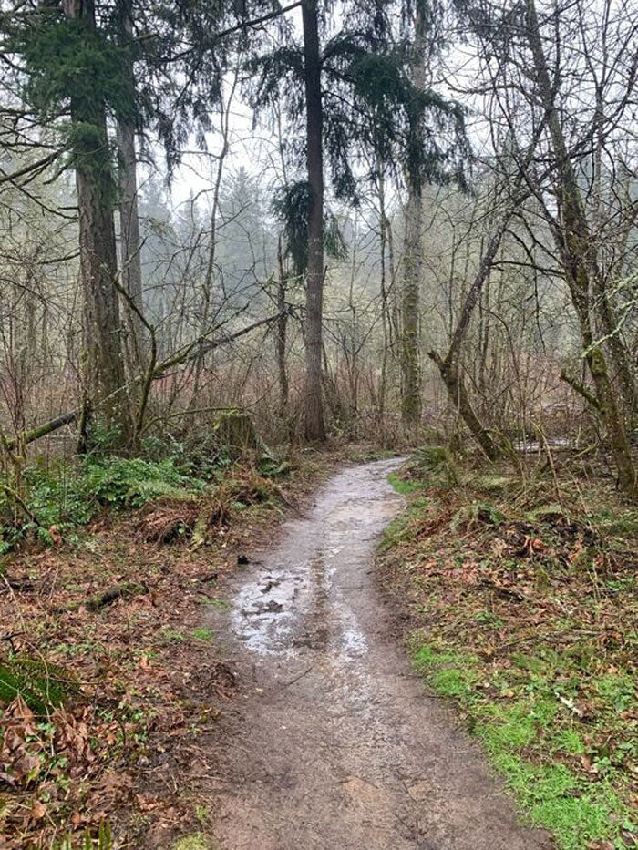 Tualatin Hills Nature Park