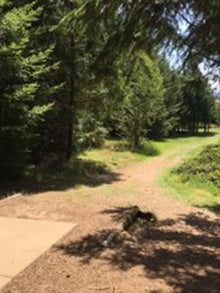 Buxton Woods Disc Golf Course