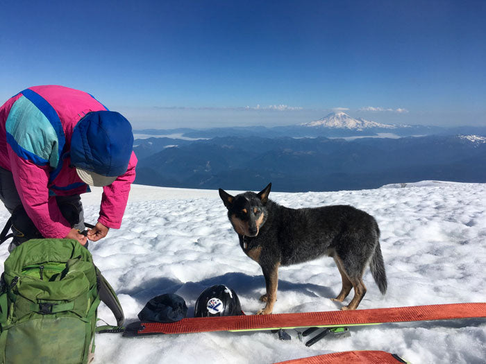 Mt Adams Climb