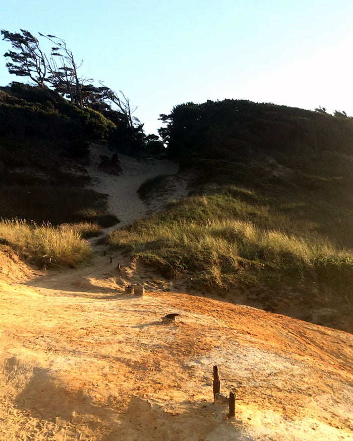 Cape Kiwanda