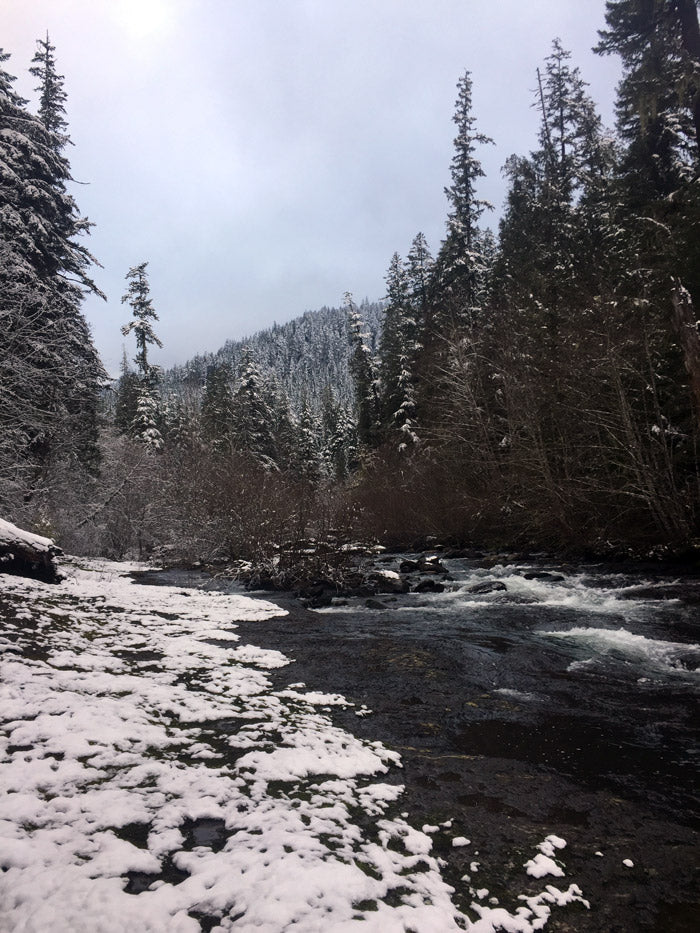 Fish Creek Trail