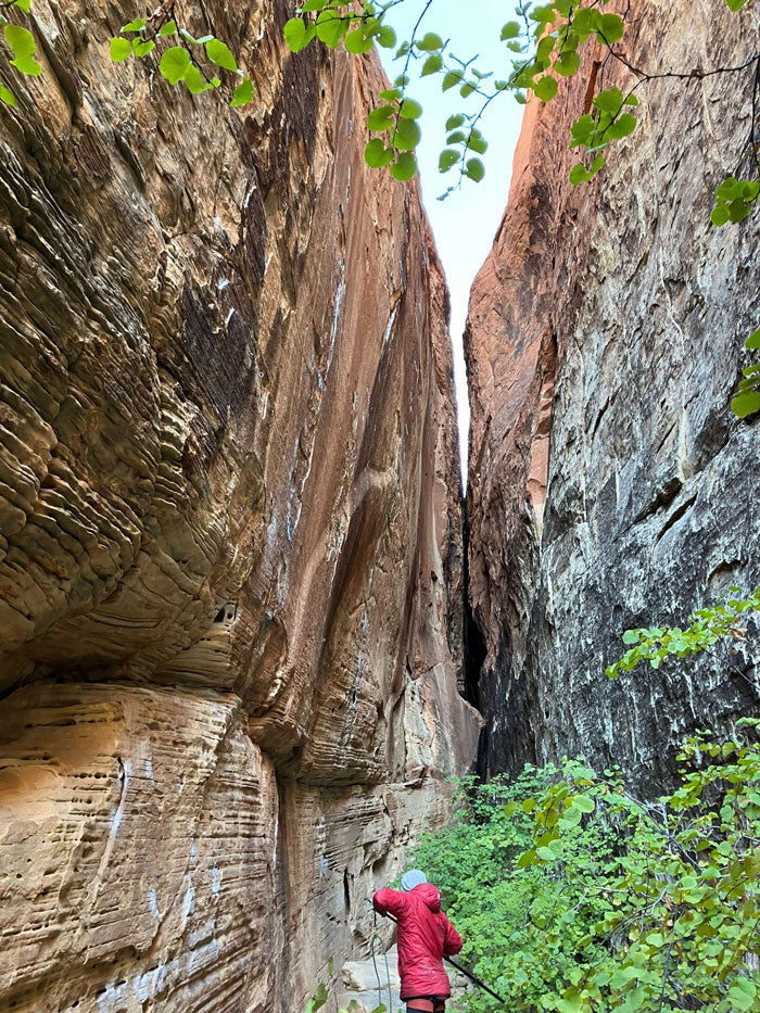 red rocks