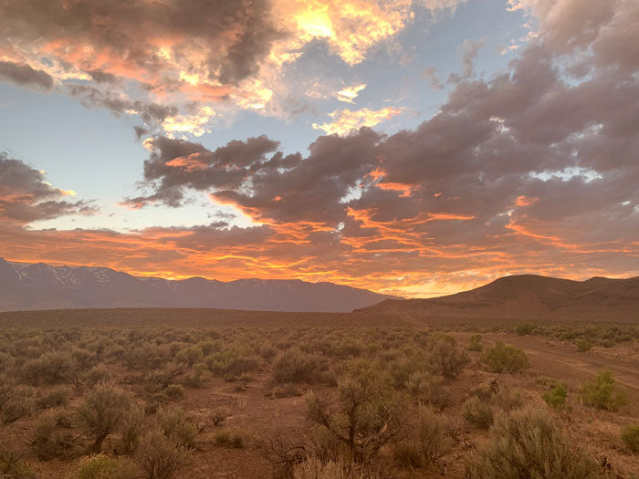 sunset in the Oregon desert