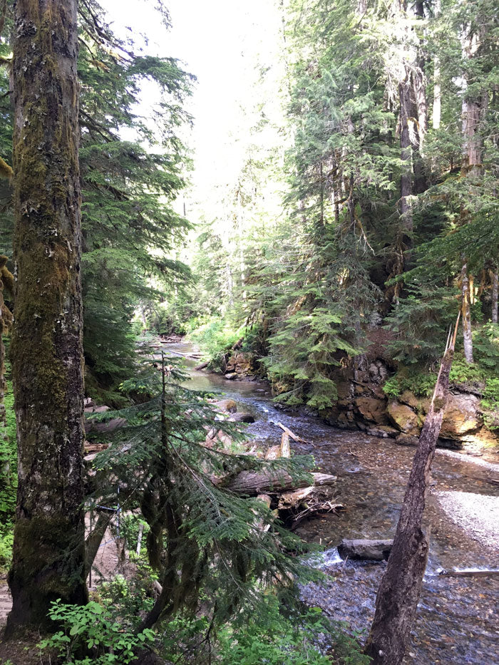 Iron Creek Falls