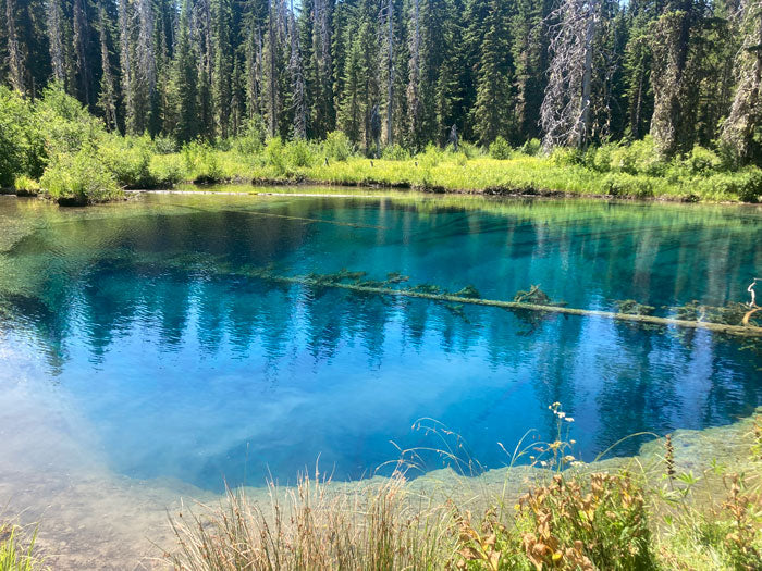 Hiking Timothy Lake and Little Crater Lake in the Mount Hood National Forest