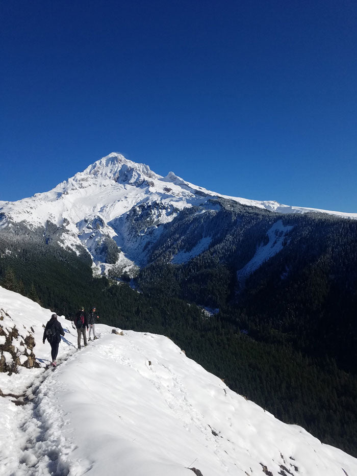 Lolo Pass to Bald Mountain