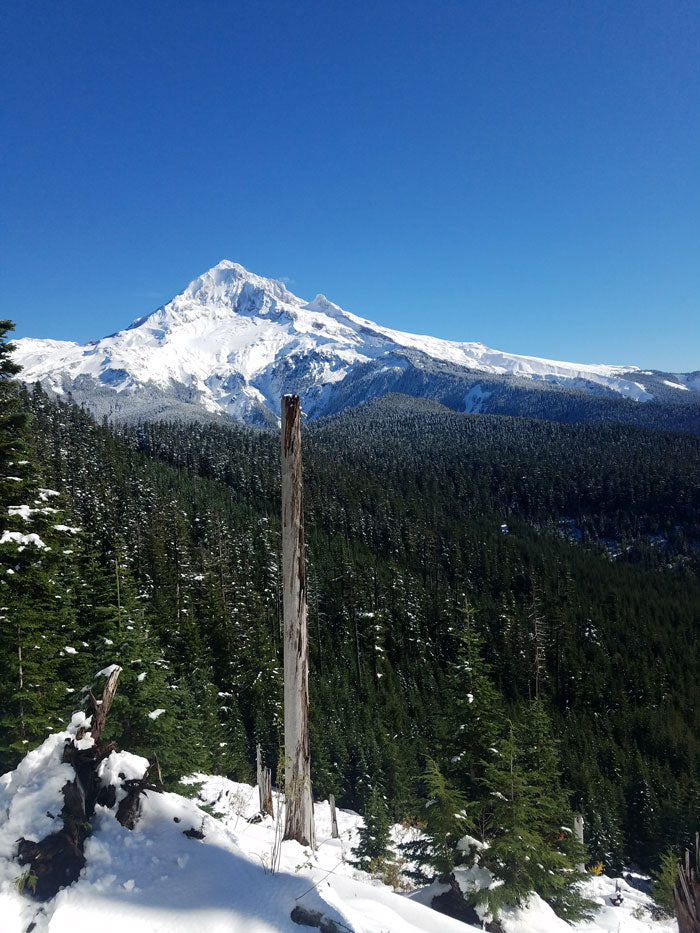 Lolo Pass to Bald Mountain