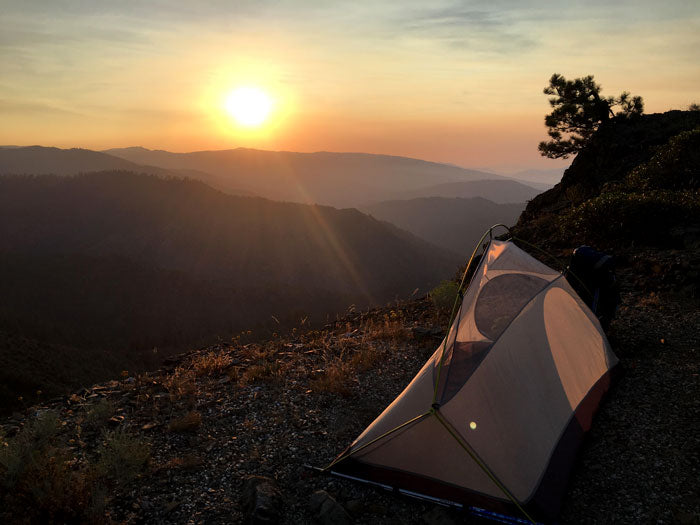 Oregon PCT