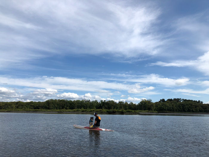 Paddleboarding with dog