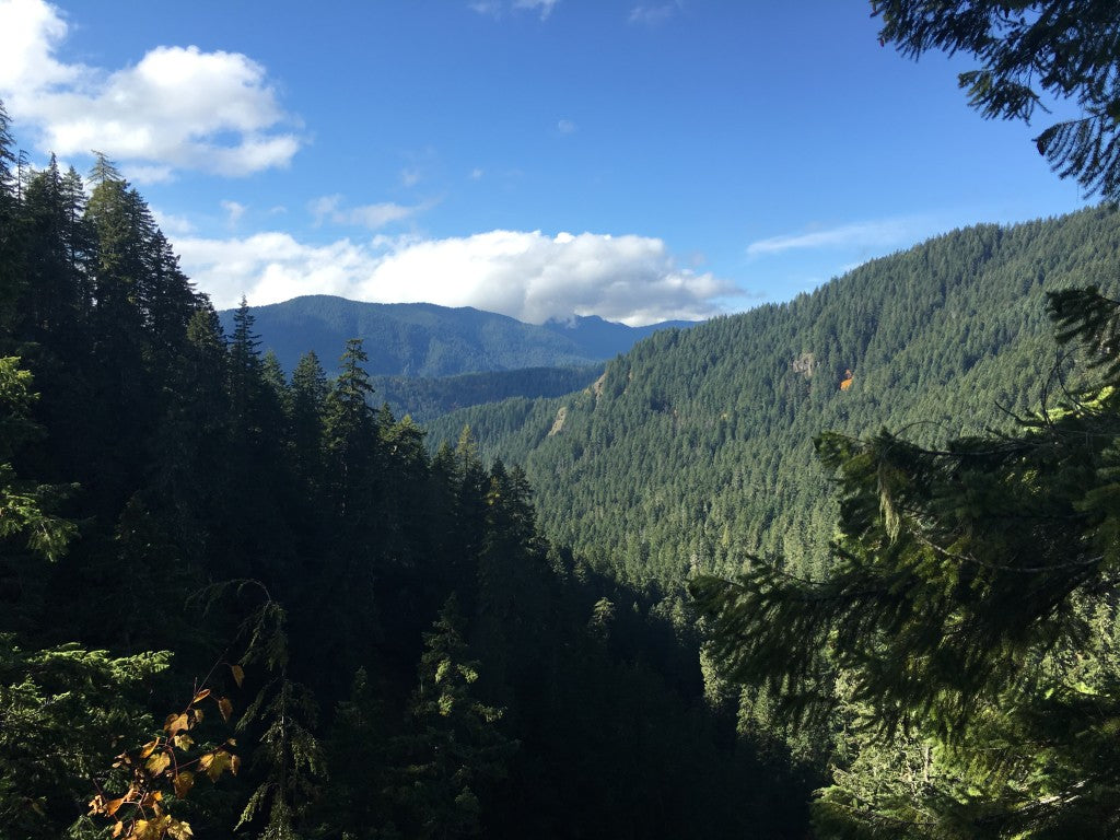 Fall Creek Falls