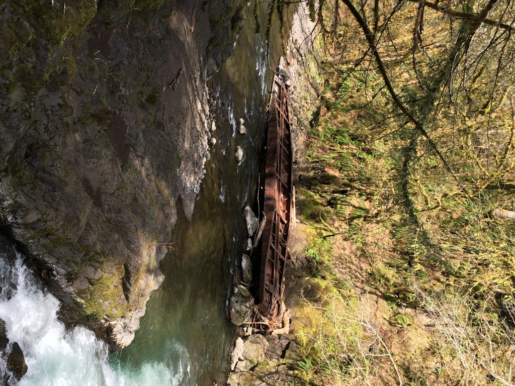 Lower Salmonberry