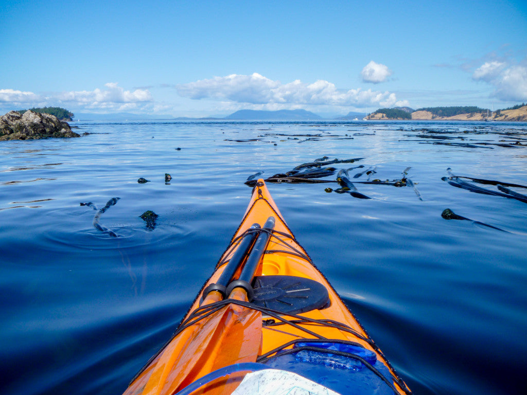 San Juan Islands Next Adventure 