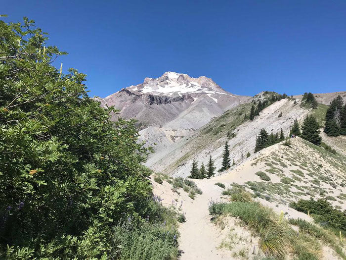 Mt. Hood day hike