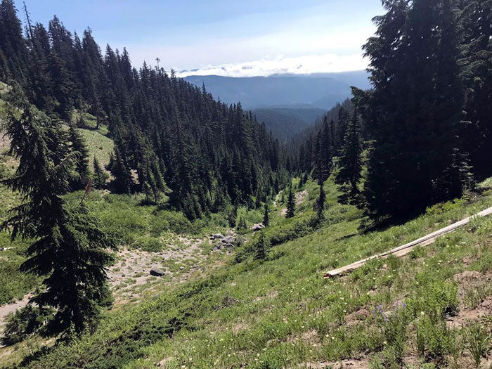 Mt. Hood day hike